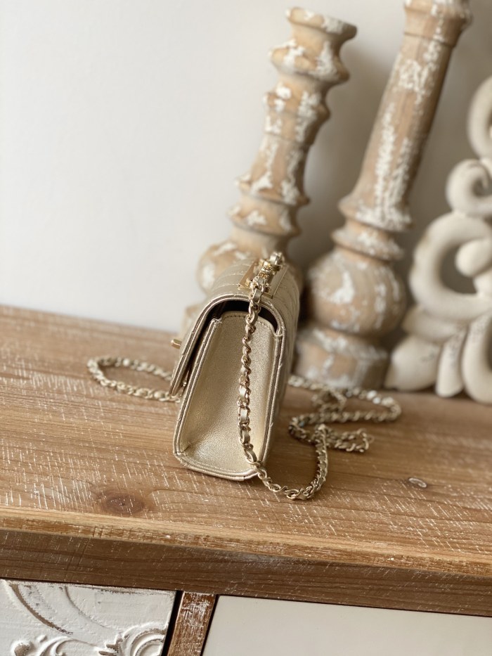  Handbag   Chanel 88631  size  11 11 5 cm