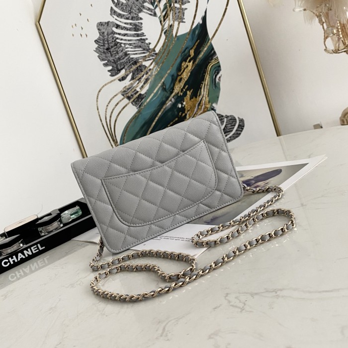  Handbag  Chanel 0250  size  19 cm 