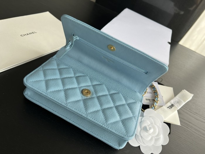  Handbag  Chanel  AP2806  size  19 cm 