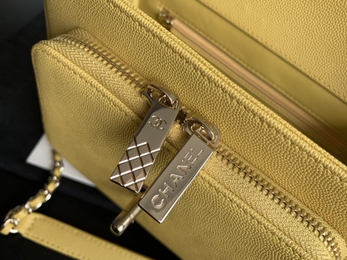  Handbag Chanel A93067 size  20 cm