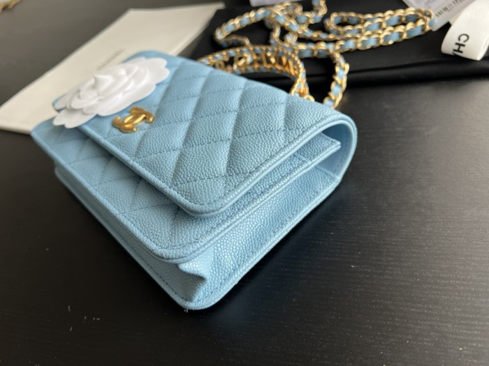  Handbag  Chanel  AP2806  size  19 cm 