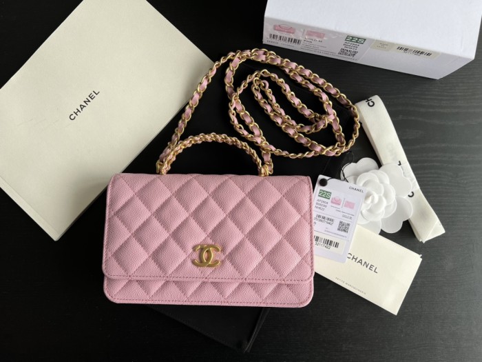  Handbag  Chanel  AP2806  size  19 cm 