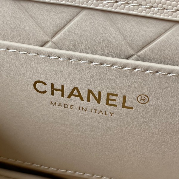  Handbag   Chanel AS2484  size  15*20*6.5 cm