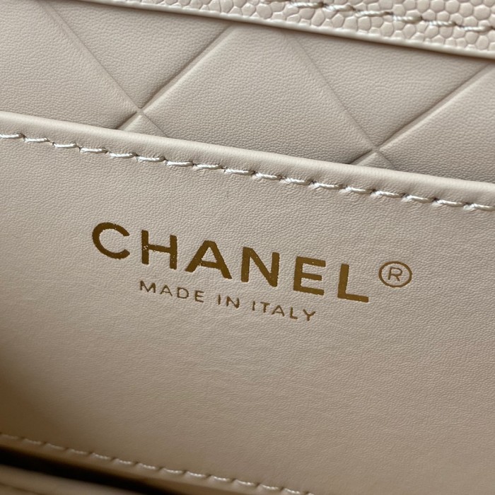  Handbag   Chanel AS2484  size  15*20*6.5 cm