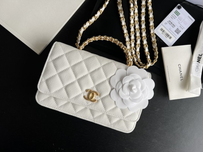 Handbag  Chanel  AP2806  size 19 cm