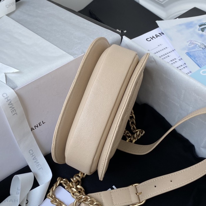  Handbag   Chanel AS2484  size  15*20*6.5 cm