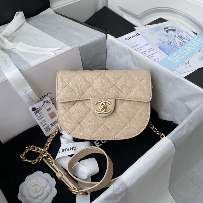  Handbag   Chanel AS2484  size  15*20*6.5 cm