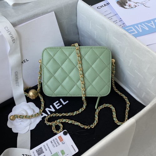 Handbag Chanel  AS2463  size  14x10x5.5 cm