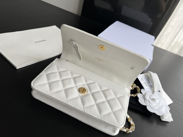 Handbag  Chanel  AP2806  size 19 cm