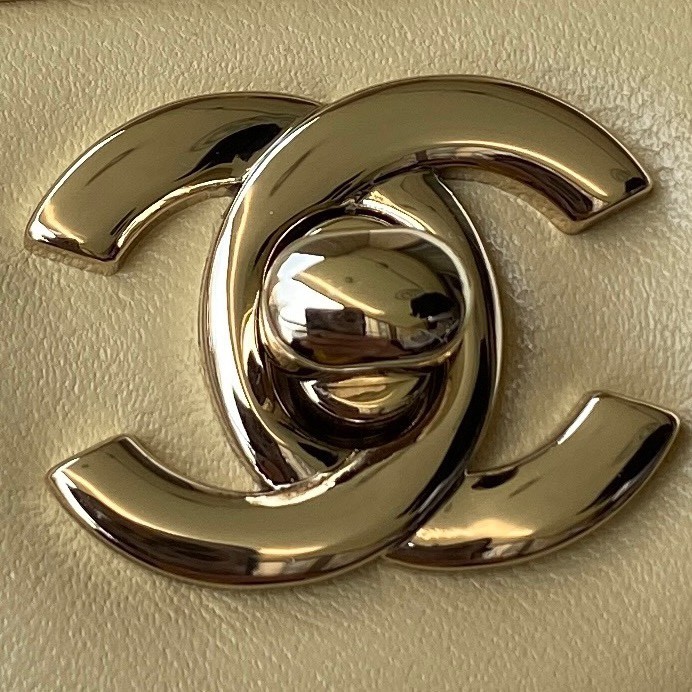 Handbag Chanel AS2431  size 20x12x6 cm