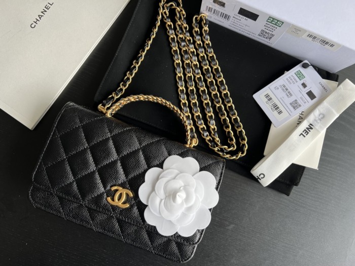 Handbag  Chanel  AP2806  size 19 cm