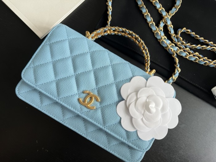  Handbag  Chanel  AP2806  size  19 cm 