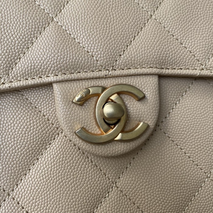  Handbag   Chanel AS2484  size  15*20*6.5 cm