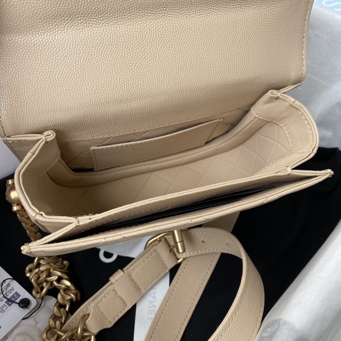  Handbag   Chanel AS2484  size  15*20*6.5 cm