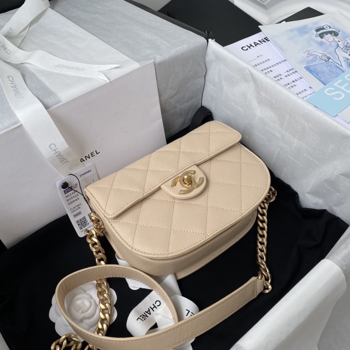  Handbag   Chanel AS2484  size  15*20*6.5 cm