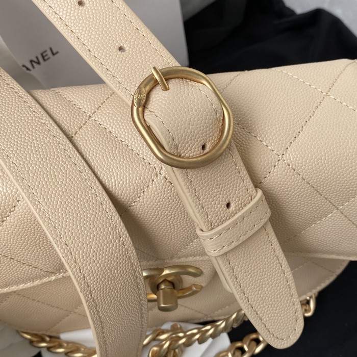  Handbag   Chanel AS2484  size  15*20*6.5 cm