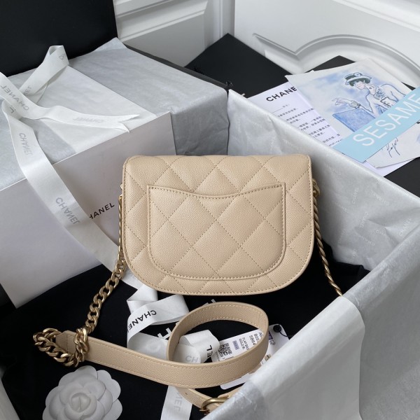  Handbag   Chanel AS2484  size  15*20*6.5 cm