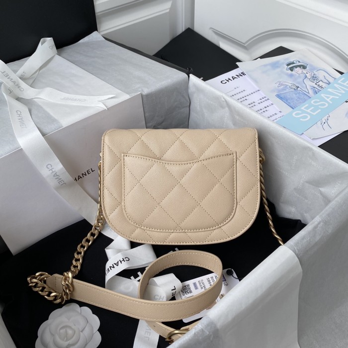  Handbag   Chanel AS2484  size  15*20*6.5 cm