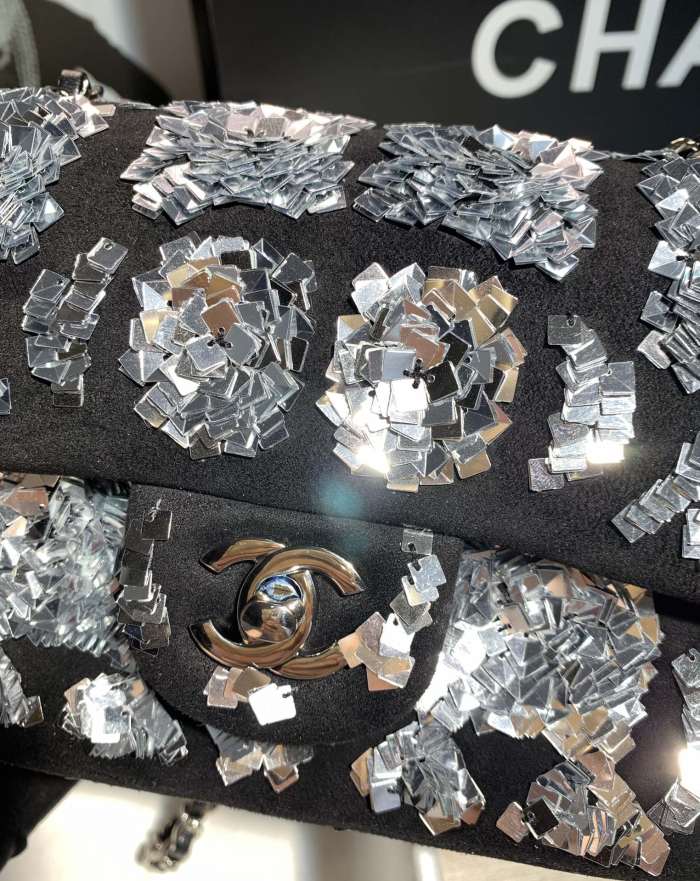  Handbag  Chanel size   20 cm