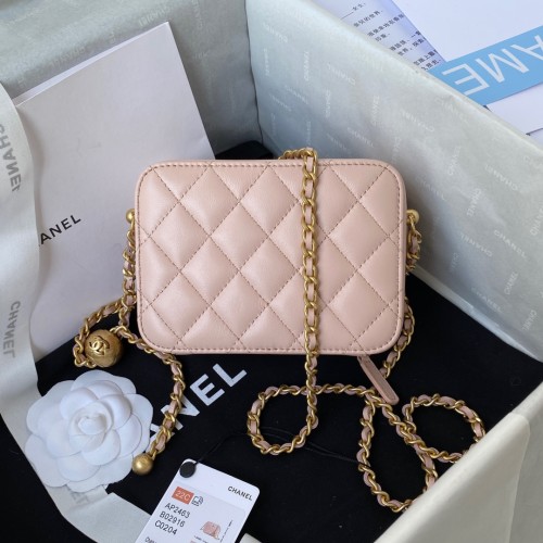 Handbag Chanel  AS2463  size  14x10x5.5 cm