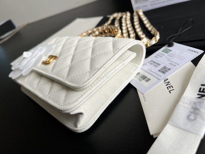 Handbag  Chanel  AP2806  size 19 cm