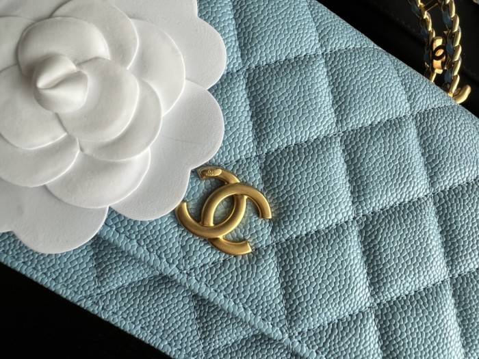  Handbag  Chanel  AP2806  size  19 cm 