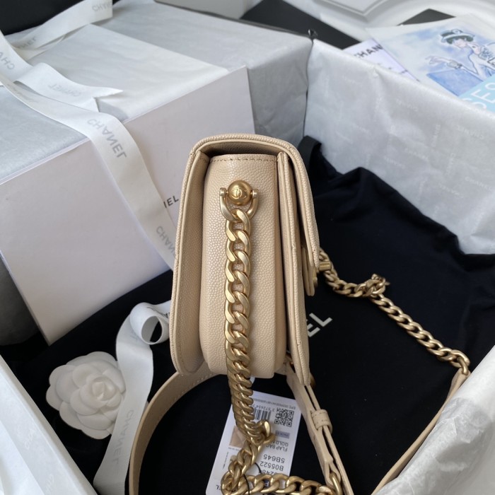  Handbag   Chanel AS2484  size  15*20*6.5 cm