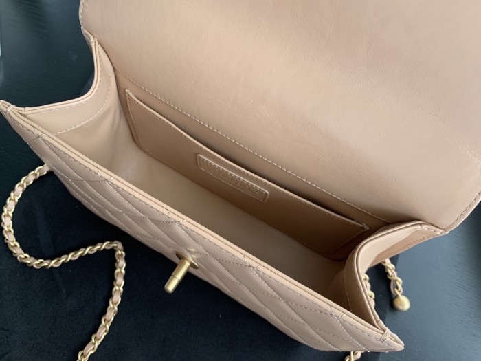  Handbag  Chanel  size  22 cm