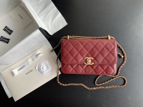  Handbag  Chanel  size  22 cm