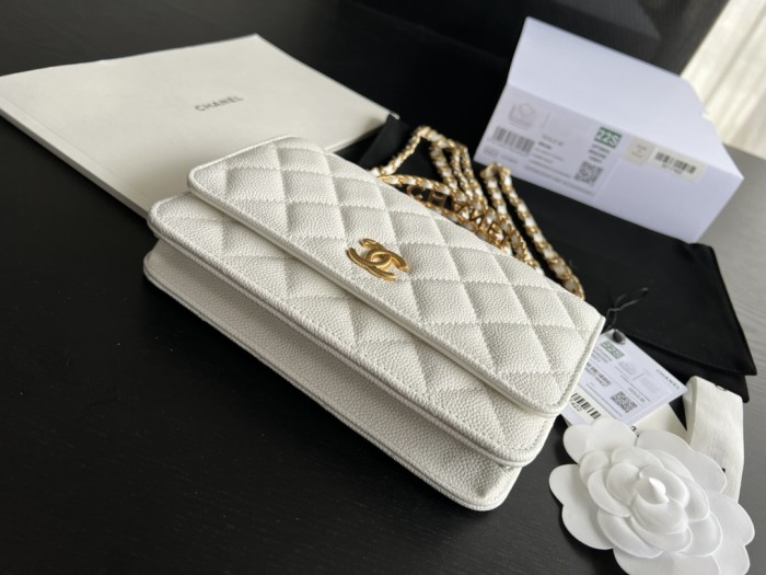 Handbag  Chanel  AP2806  size 19 cm
