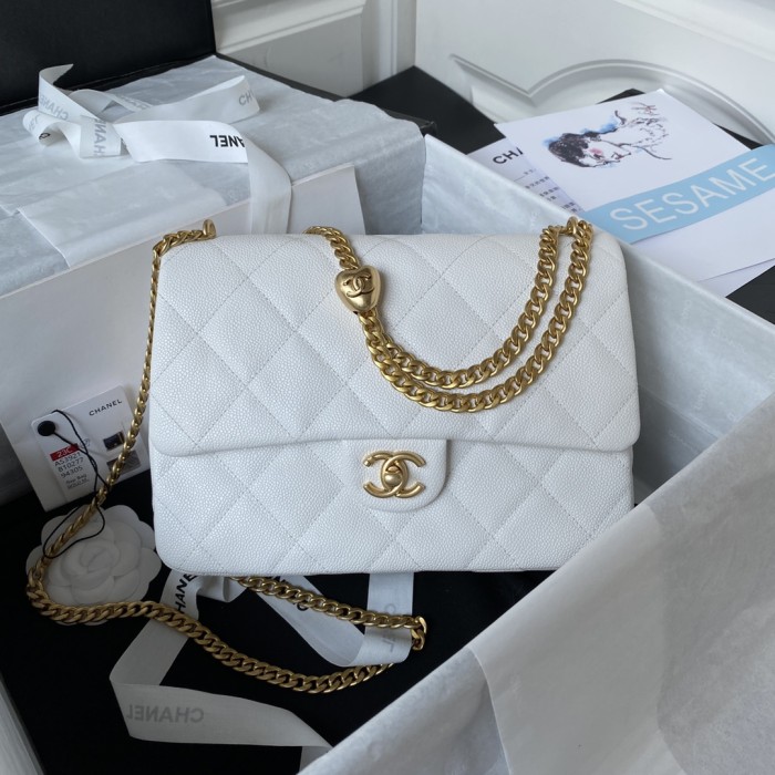  Handbag   Chanel  AS3921  size  19X24x9 cm