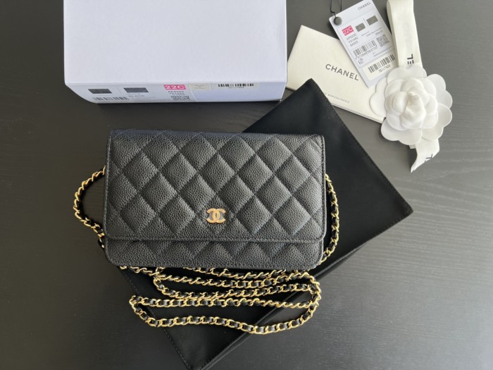  Handbag   Chanel  0250  size 19 cm