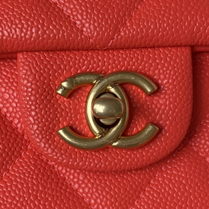  Handbag  Chanel  AS3921  size  19X24x9 cm