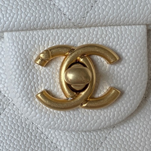  Handbag   Chanel  AS3921  size  19X24x9 cm