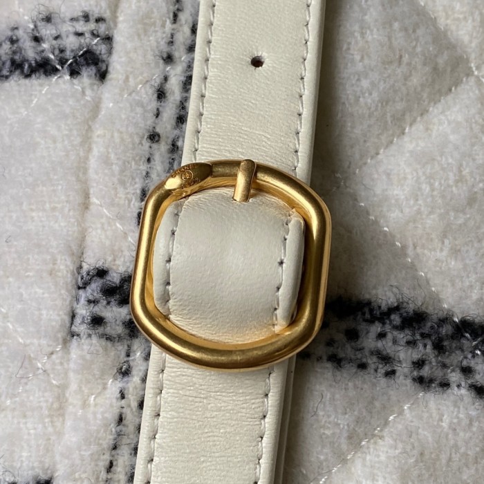  Handbag   Chanel  AS3615  size  21*24*10 cm 