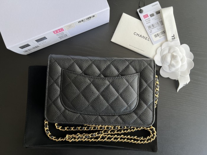  Handbag   Chanel  0250  size 19 cm