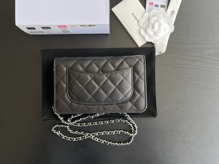 Handbag   Chanel   0250  size  19 cm 