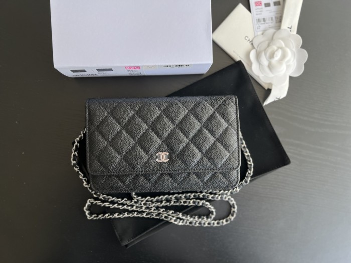  Handbag   Chanel 0250  size 19 cm 