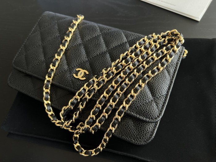  Handbag   Chanel  0250  size 19 cm