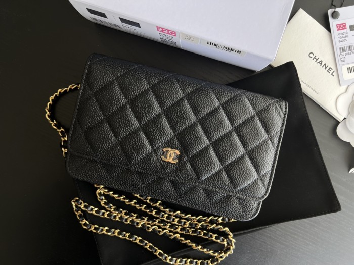  Handbag   Chanel  0250  size 19 cm