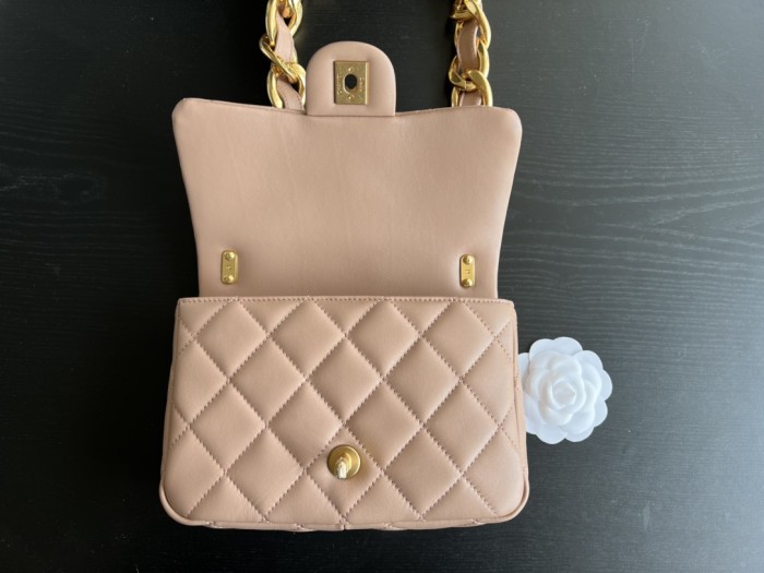  Handbag   Chanel size  20 cm