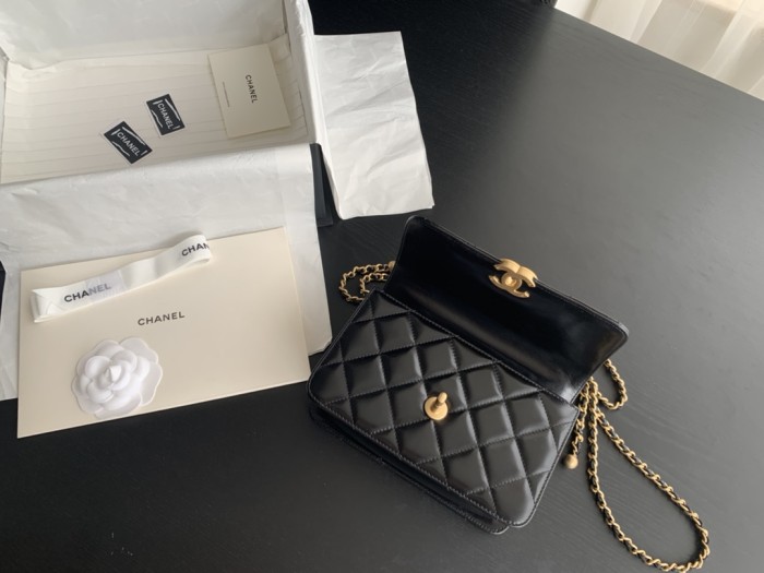  Handbag   Chanel  size  22 cm