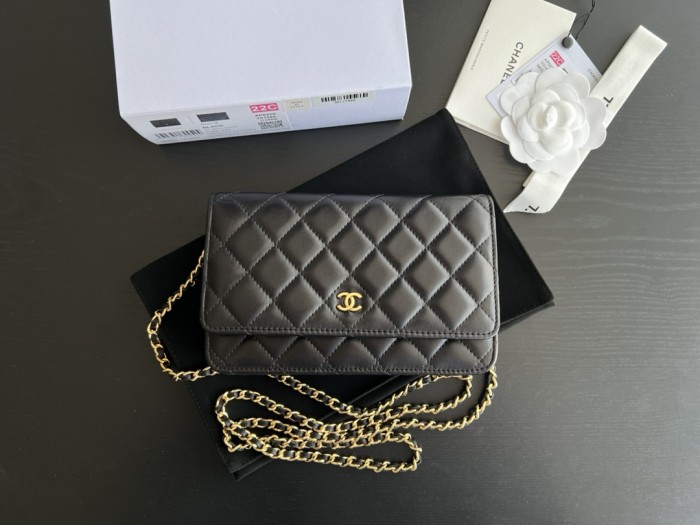  Handbag   Chanel  size 19 cm