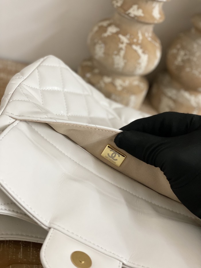  Handbag  Chanel AS3690 size  21.5×22.5×7 cm