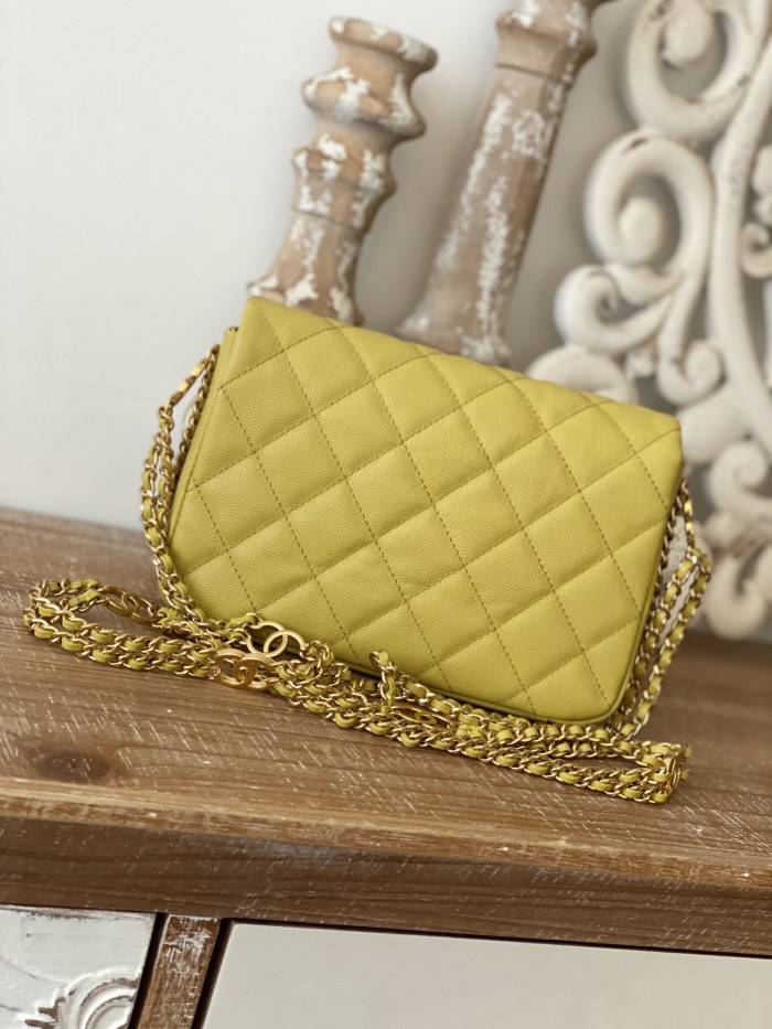 Handbag  Chanel  AS3757  size 14.5x20x6.5 cm