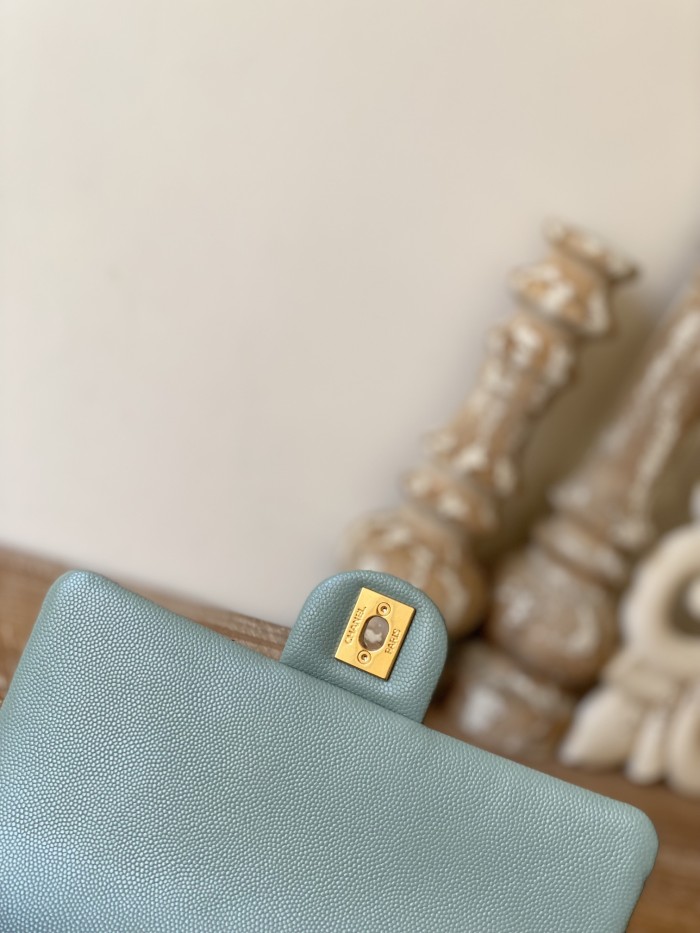 Handbag  Chanel  AS3757  size  14.5x20x6.5 cm