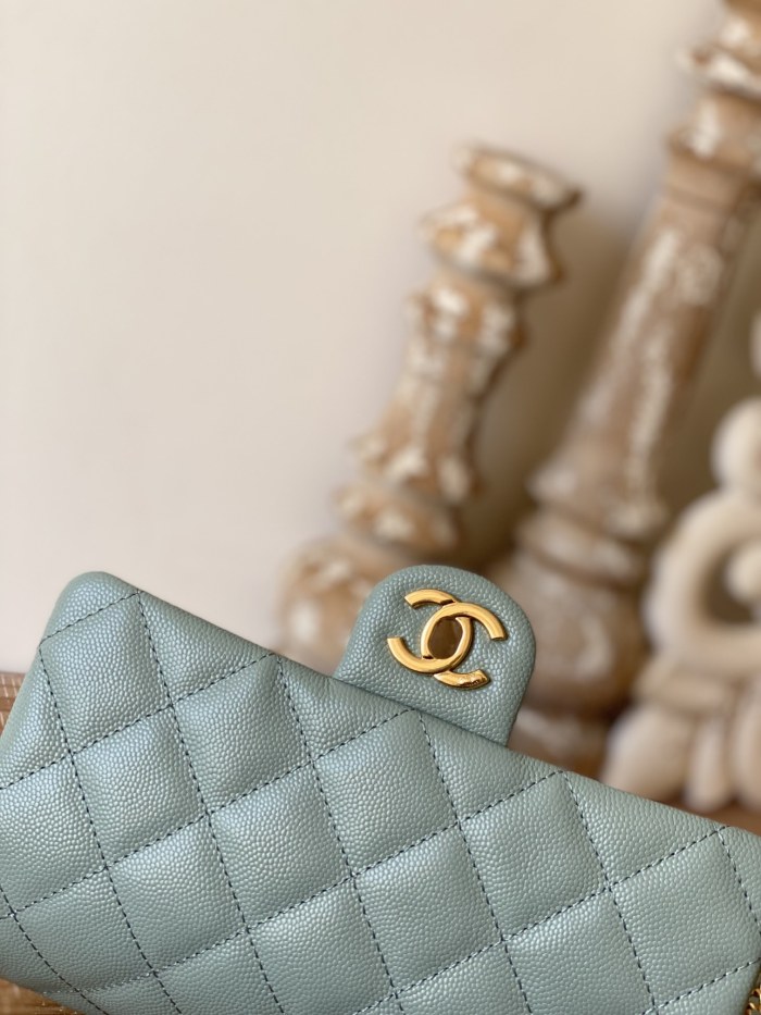 Handbag  Chanel  AS3757  size  14.5x20x6.5 cm