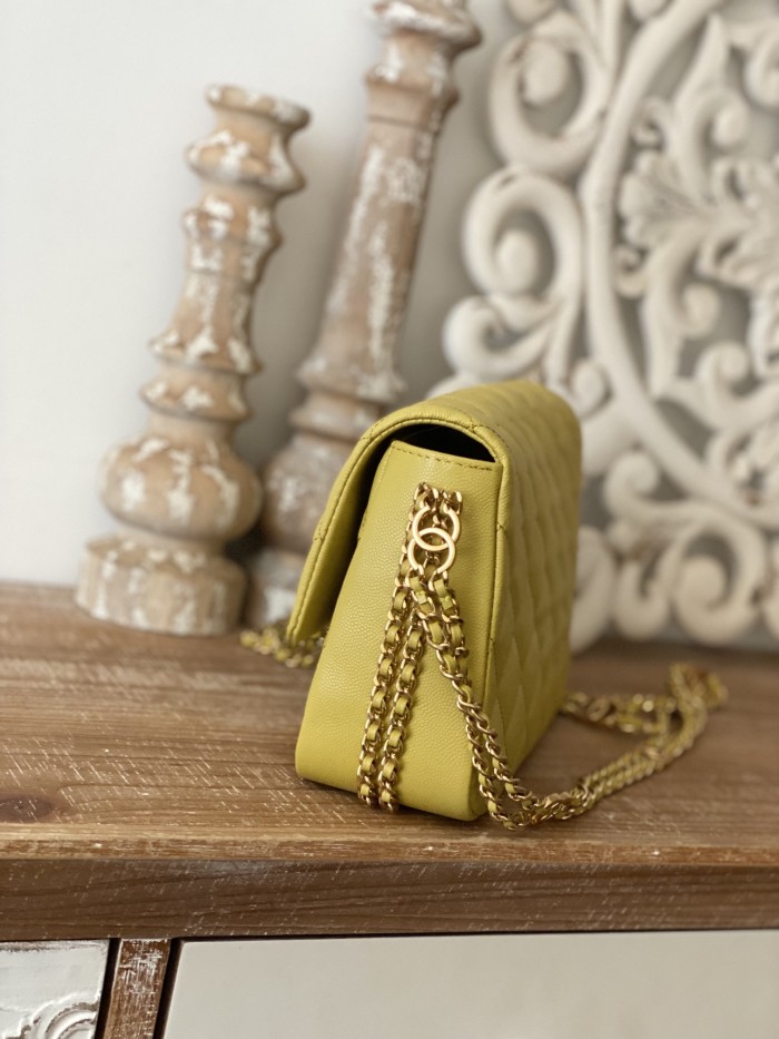 Handbag  Chanel  AS3777 size  16x24x8 cm