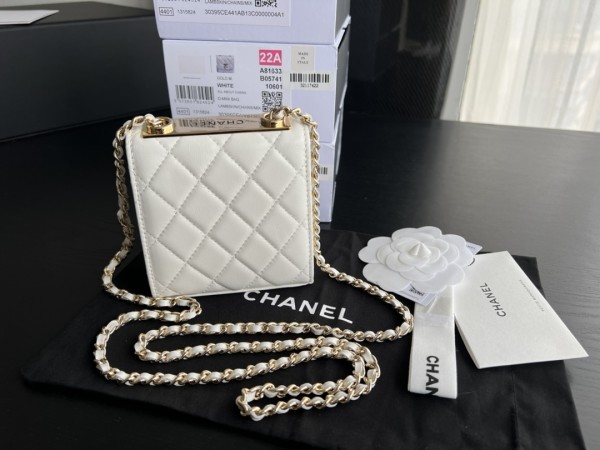 Handbag Chanel  A81633  size 11cmx11cmx5 cm