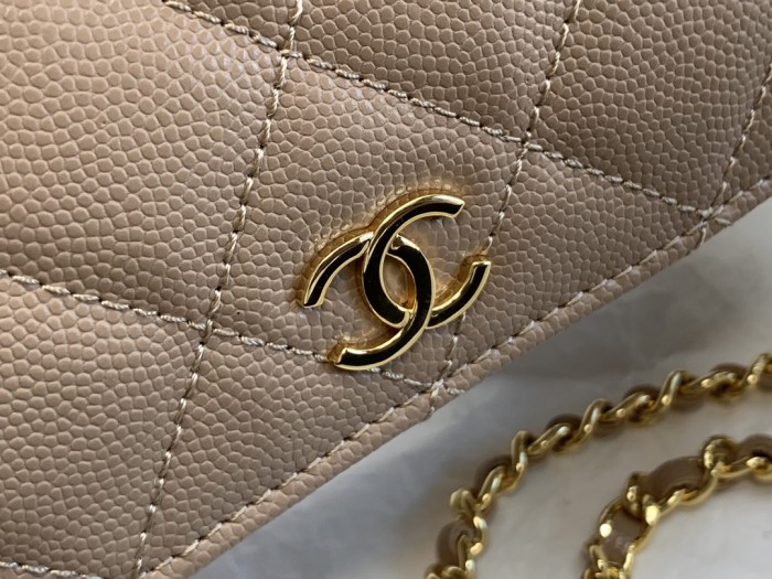 Handbag  Chanel  99209  size 12*17.5*5.5 cm